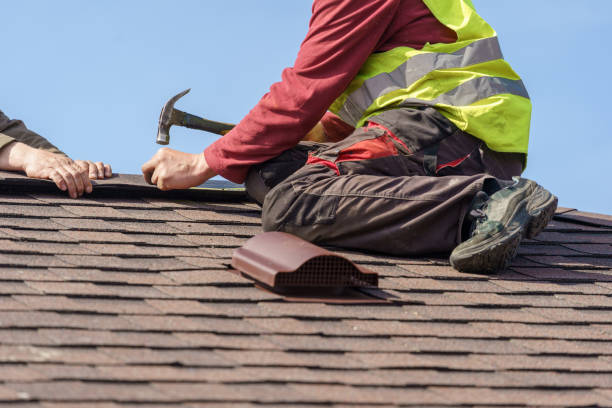 Best Residential Roof Replacement  in Stapleton, AL