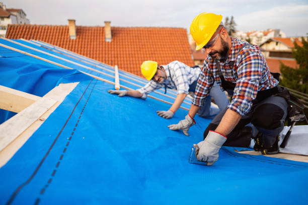 Roof Waterproofing Services in Stapleton, AL