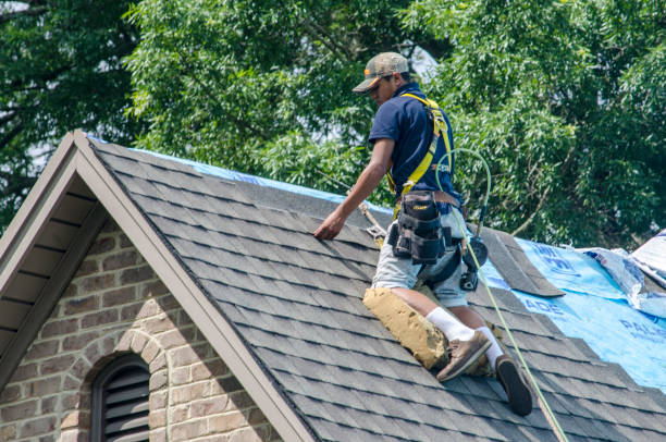 Best Storm Damage Roof Repair  in Stapleton, AL